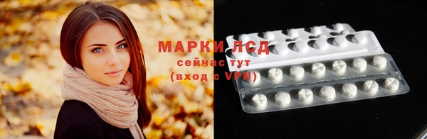 крисы Алзамай