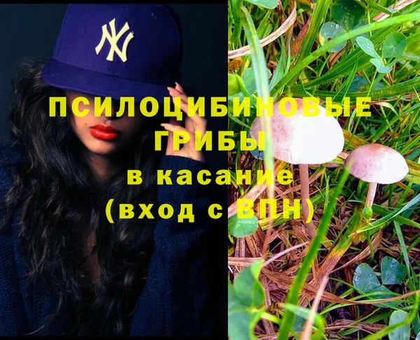 соль курить ск Болохово