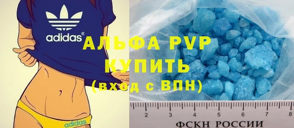 прущие грибы Болхов